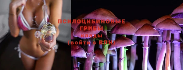 PSILOCYBIN Абдулино