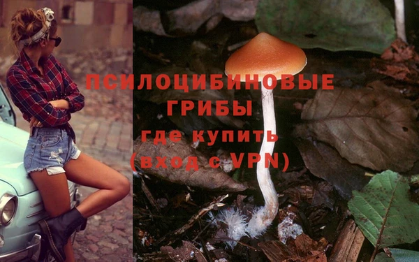 гидра Абинск