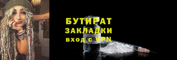 прущие грибы Няндома