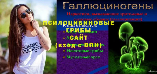 PSILOCYBIN Абдулино