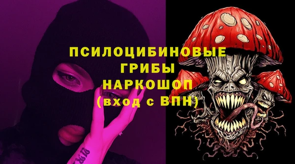 PSILOCYBIN Абдулино
