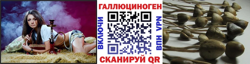 Псилоцибиновые грибы ЛСД  кракен ТОР  мориарти состав  наркошоп  Юхнов 